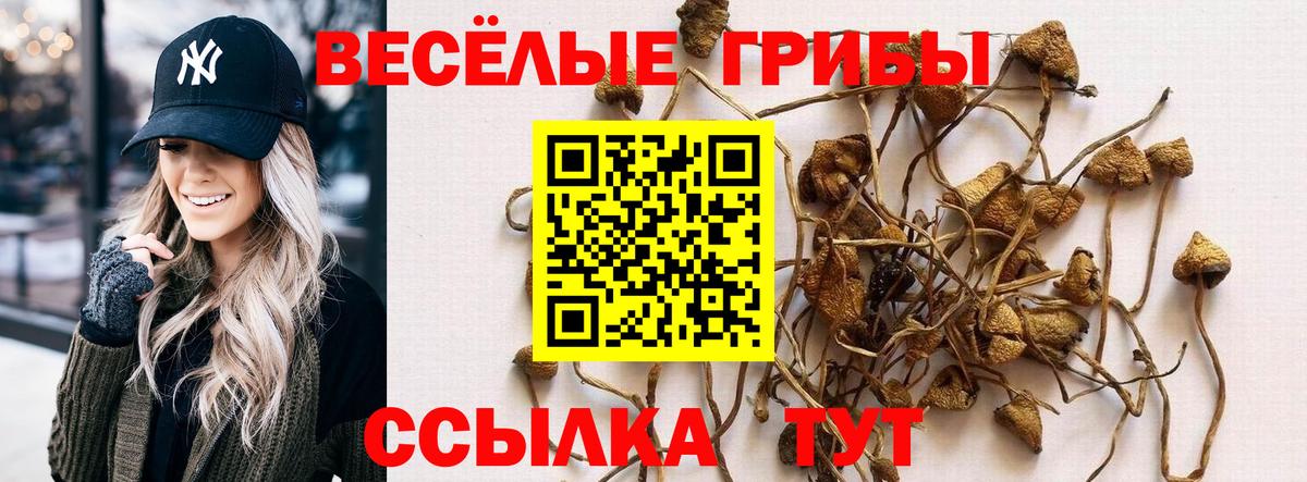 Галлюциногенные грибы Magic Shrooms Сатка